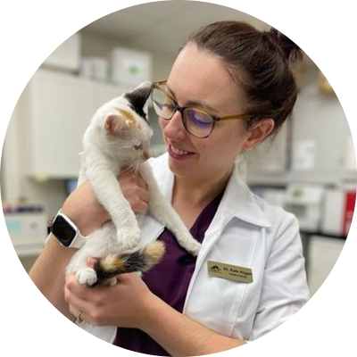 A woman holding a cat in her arms.